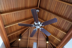 Ceiling fans